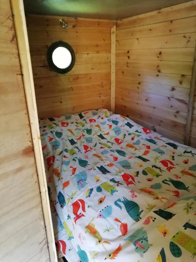 Truck & Pod Creative Nature Retreat. Bantry Bagian luar foto